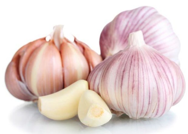 whole-garlic-walnut-creek-wholesale